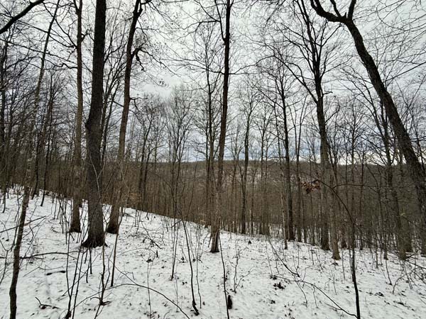 Northern Pike County parcel