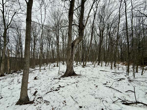 Ohio land investment opportunity