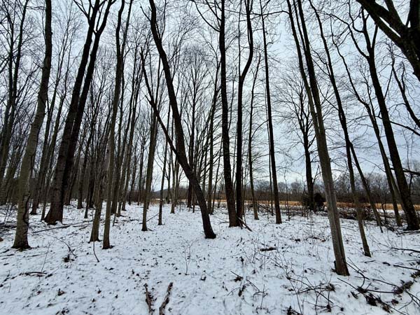 Private country acreage