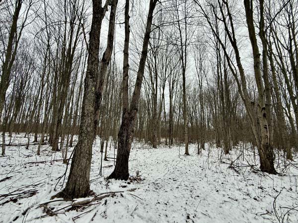 Flexible land use property