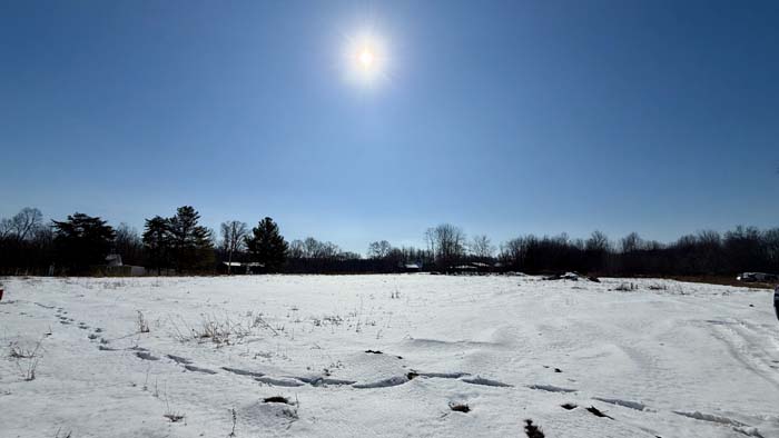 Timbered acreage with privacy