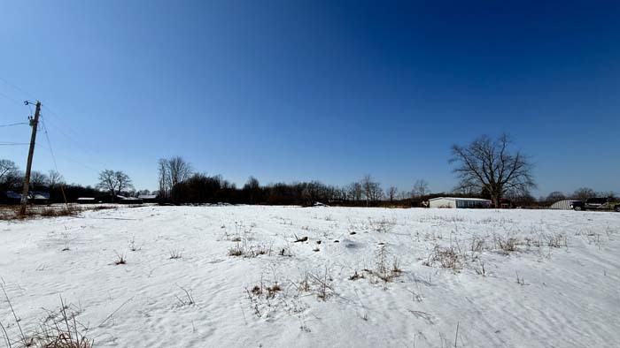 Northern Pike County wooded land