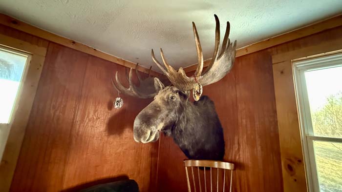 Ohio hunting land near public access areas