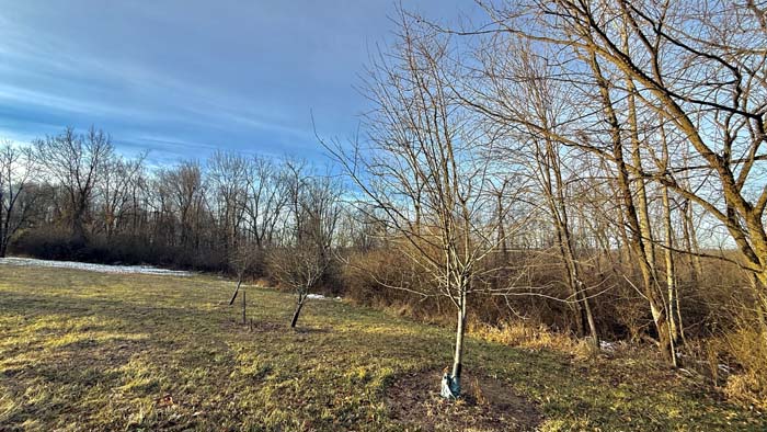 Wooded acreage ideal for deer hunting in Pike County Ohio