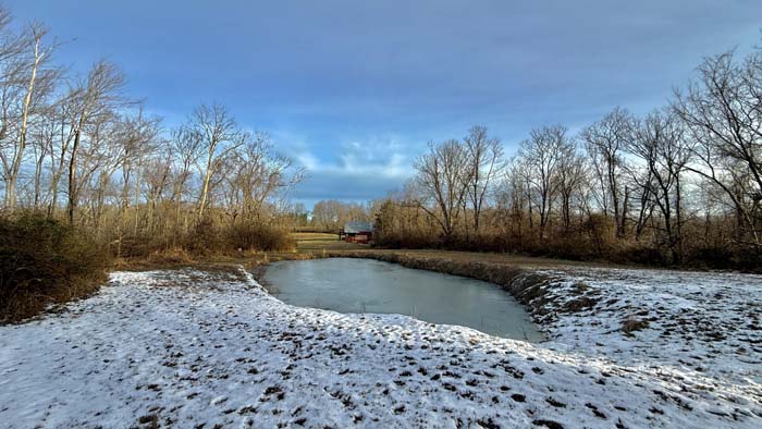 Heavily wooded section of Pike County Ohio land