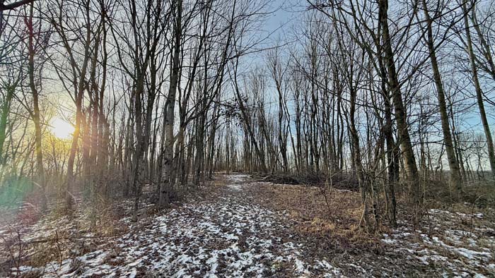 Trail intersection within Pike County Ohio acreage
