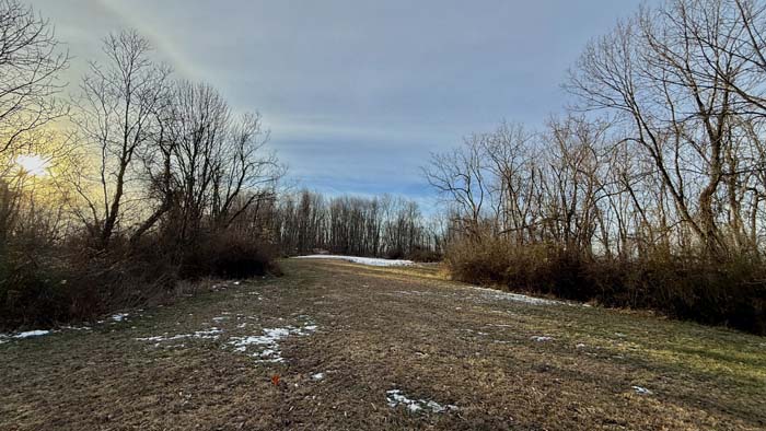 Forest interior view on Pike County Ohio land