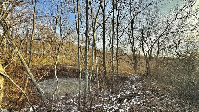 Natural wooded landscape in Pike County Ohio
