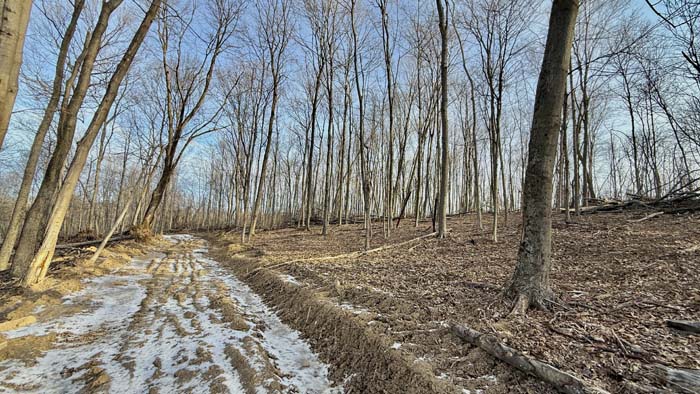 Quiet hunting land surrounded by timber in Pike County Ohio