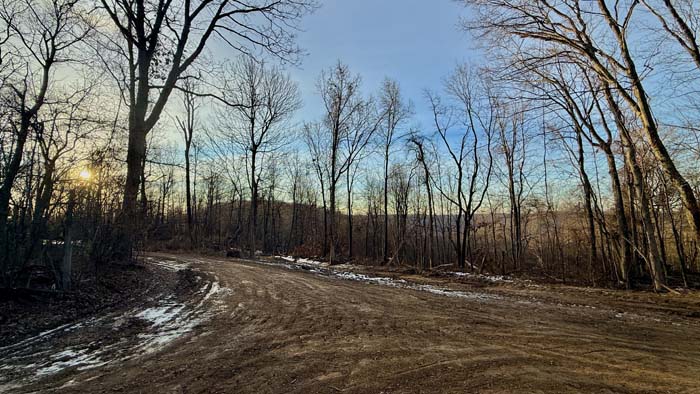 Deep woods setting on Pike County Ohio acreage