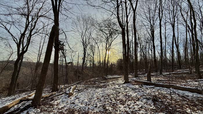 Secluded cabin approach through Pike County Ohio forest