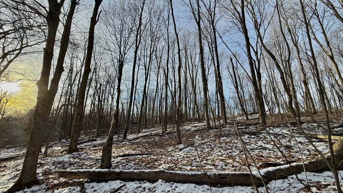 Hunting land near Pike State Park Ohio