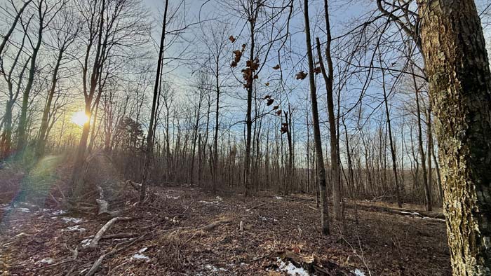 Cabin surroundings with fruit trees in Pike County Ohio