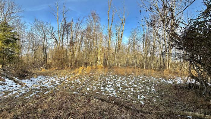 Natural forest cover on Pike County Ohio land