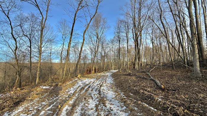 Private Ohio hunting land with internal roads
