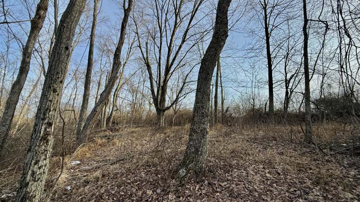 Trail system providing access across Pike County Ohio land