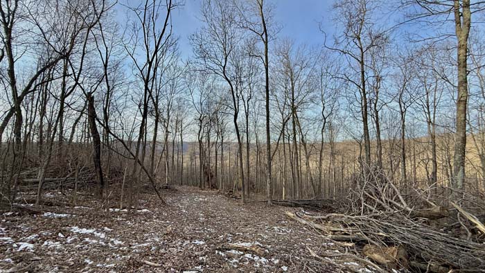 Remote Ohio cabin property ideal for hunting