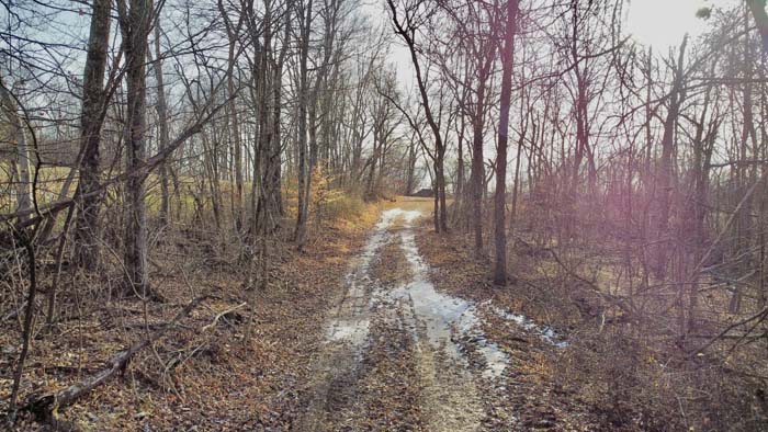 Cabin clearing with open field in Pike County Ohio