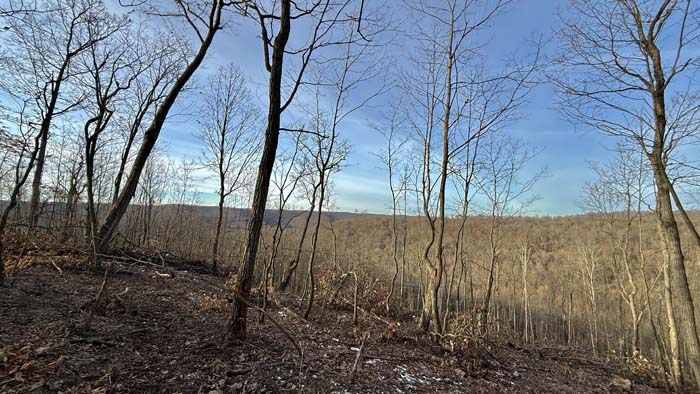 Remote woodland acreage in Pike County Ohio