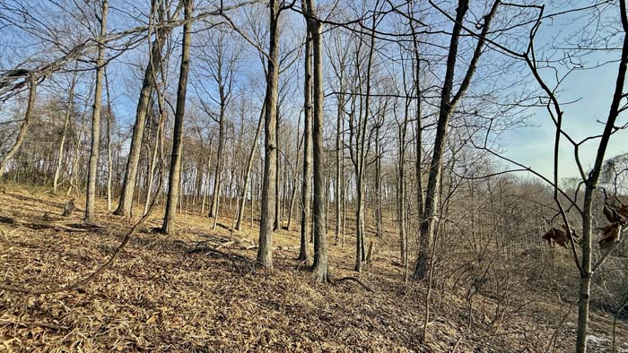 Southern Ohio hunting land with cabin and fields