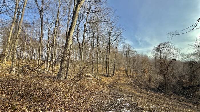 Quiet wooded retreat property in Pike County Ohio