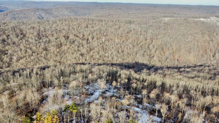 Deer habitat and timber land in Pike County Ohio