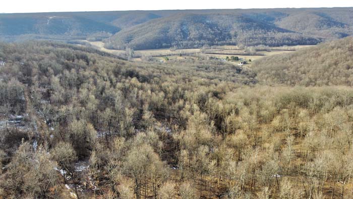 Pike County Ohio recreational land near public forest