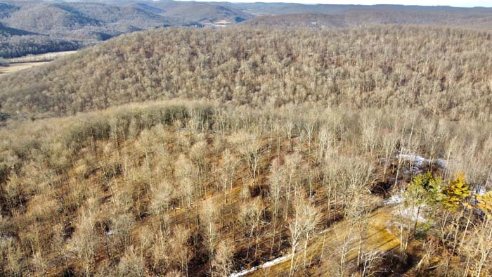 Forest trail access on Pike County Ohio hunting land