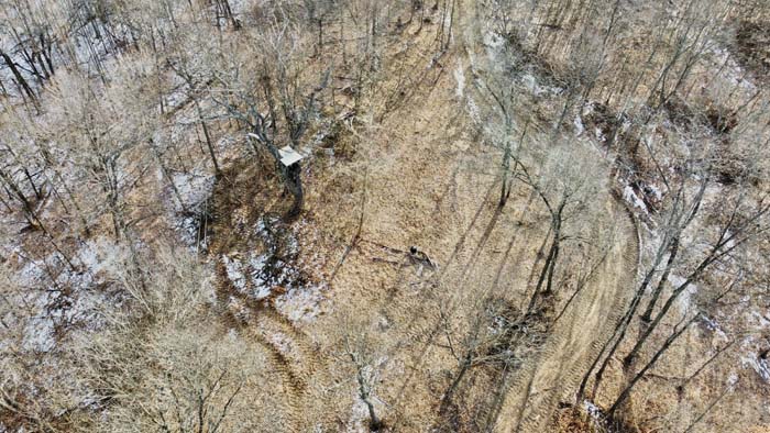 Remote Pike County Ohio acreage with wildlife habitat