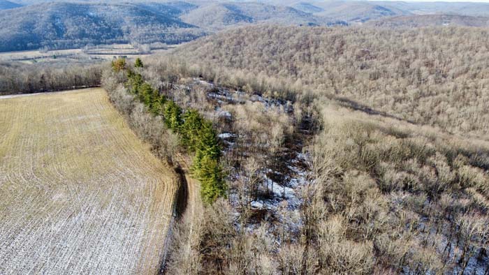 Deep woods property near Pike State Forest Ohio