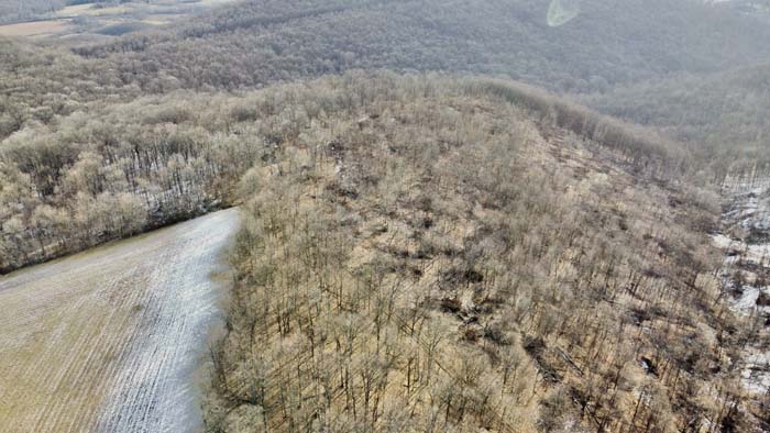 Secluded Ohio property accessed by long driveway