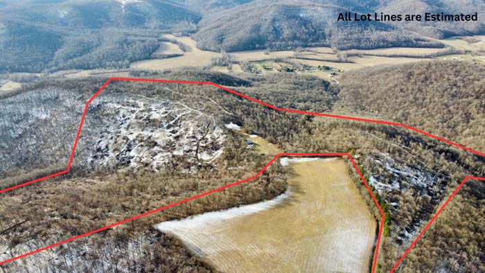 Remote forest retreat in Pike County Ohio