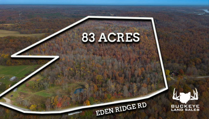 83.25 +/- Acres, Reedsville, OH 45772