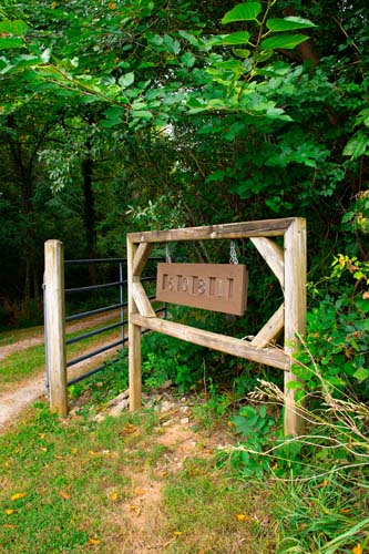 Rustic cabin interior with updated appliances