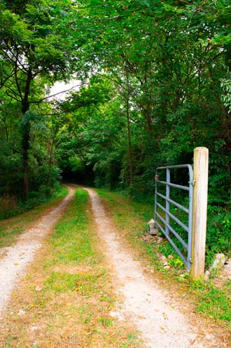 Main bedroom with private bath in Highland County cabin
