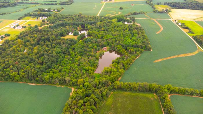 Manmade pond near Hillsboro OH with scenic views