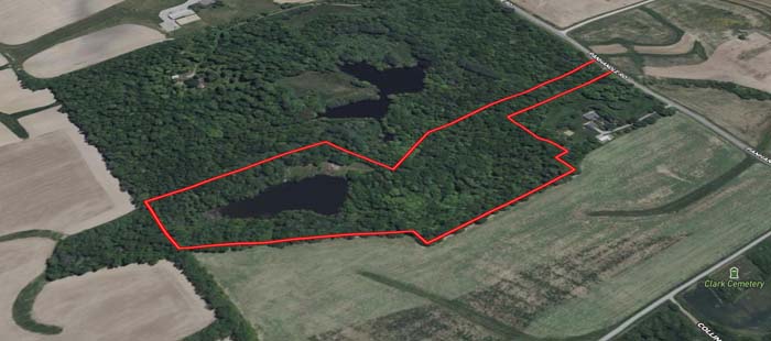 Long gravel drive to secluded cabin near Hillsboro