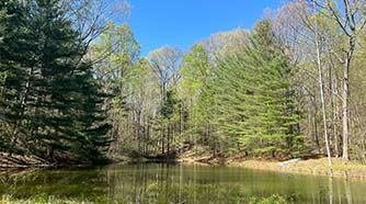 61246 Harden Road for sale