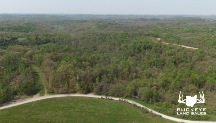 55+/- Acres, Quaker City, OH 43773