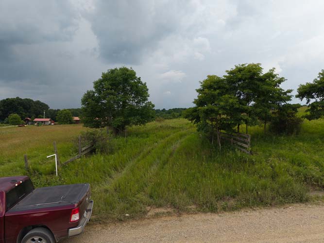 Wooded backdrop with open pasture space