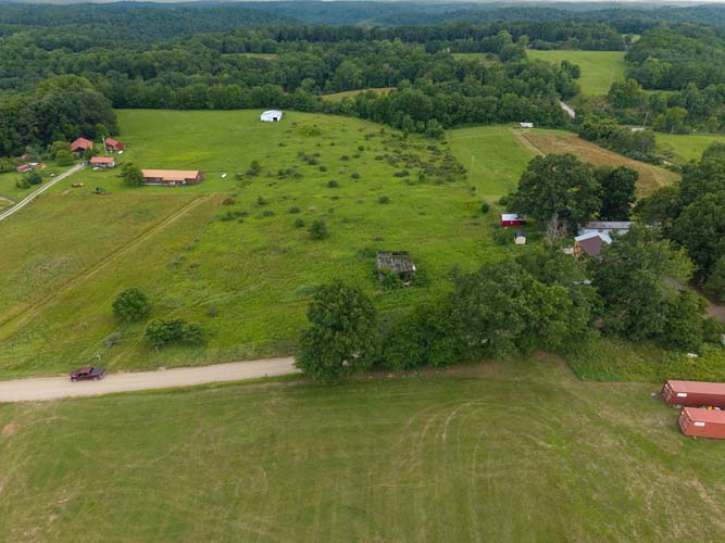 Boundary edge marked by natural growth