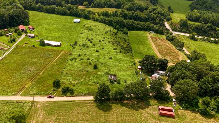 Grassy field with tree line at property edge