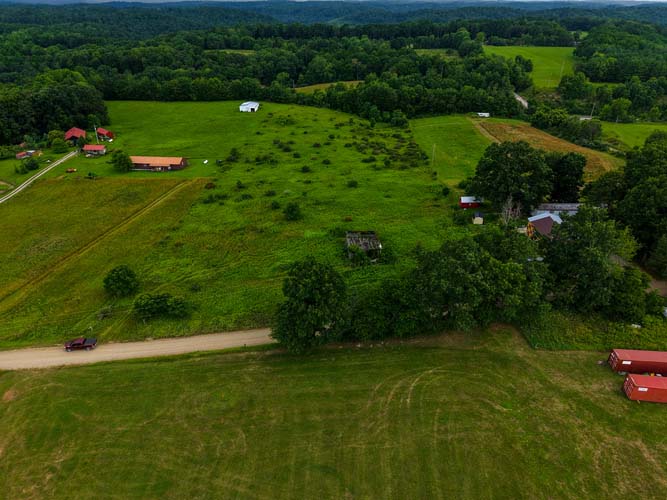Distant trees surrounding buildable open land