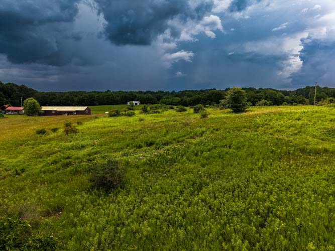 Rolling landscape and distant tree line