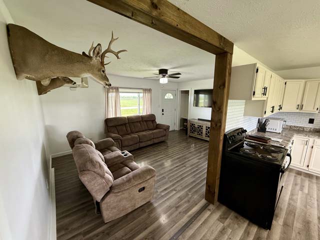 Third bedroom with updated flooring