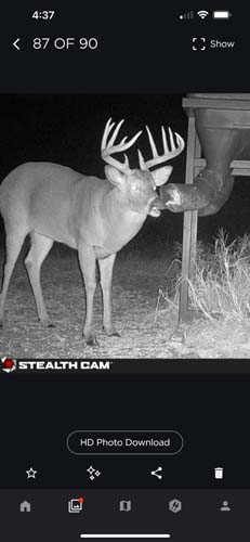 Winchester Ohio brick home front elevation on 278 acre farm for sale