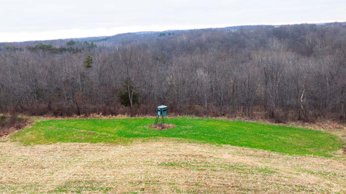 Winchester Ohio stocked pond near home with waterfowl landing opportunities