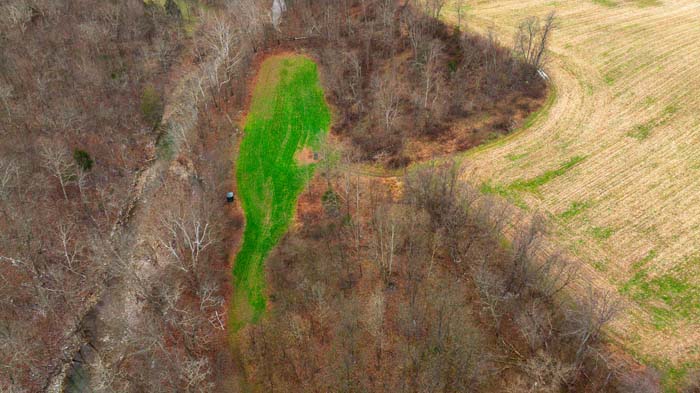 Winchester Ohio pond shoreline view on secluded southern Ohio farm