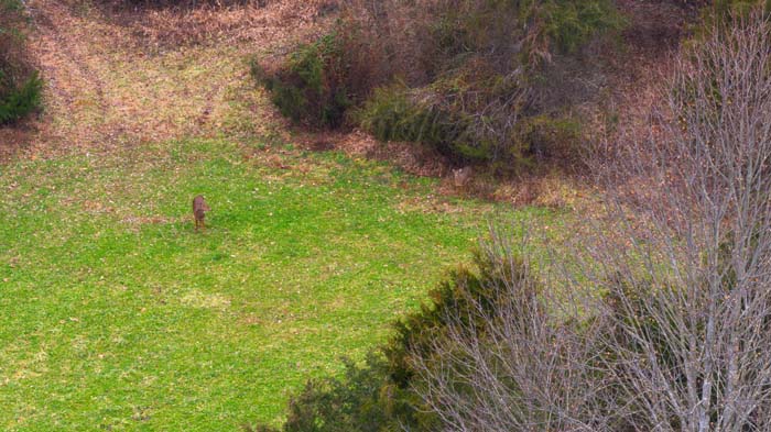 Winchester Ohio second stocked pond view for fishing and wildlife