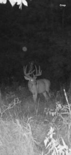 Winchester Ohio pole barn overhead doors and man door for easy access